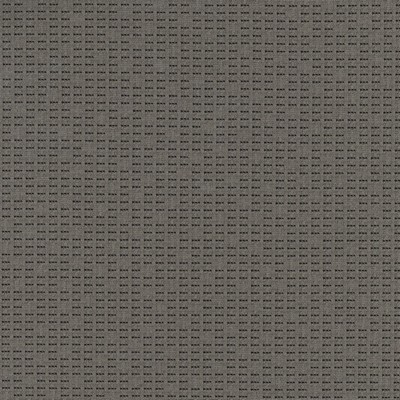 Silver State New York Asteroid